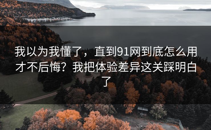 我以为我懂了，直到91网到底怎么用才不后悔？我把体验差异这关踩明白了